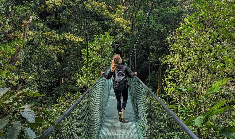 1. The Rise of Eco-Tourism — Ecotourism Noethera