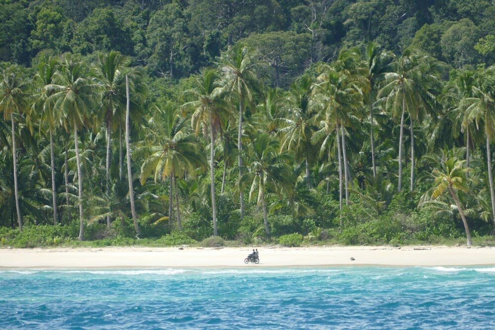 The Role of Cultural and Eco-Tourism