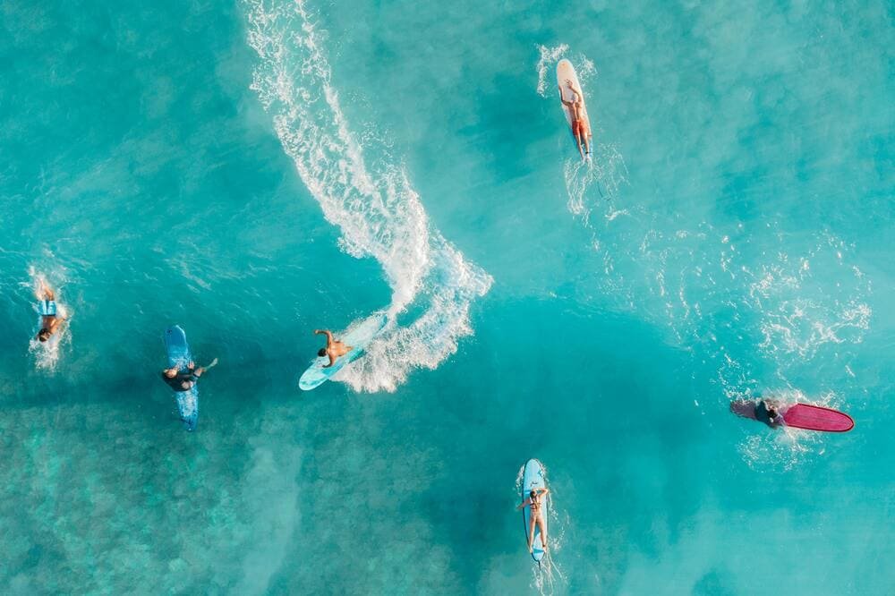 Essential Features for a Surf Camp or Dive Center Website