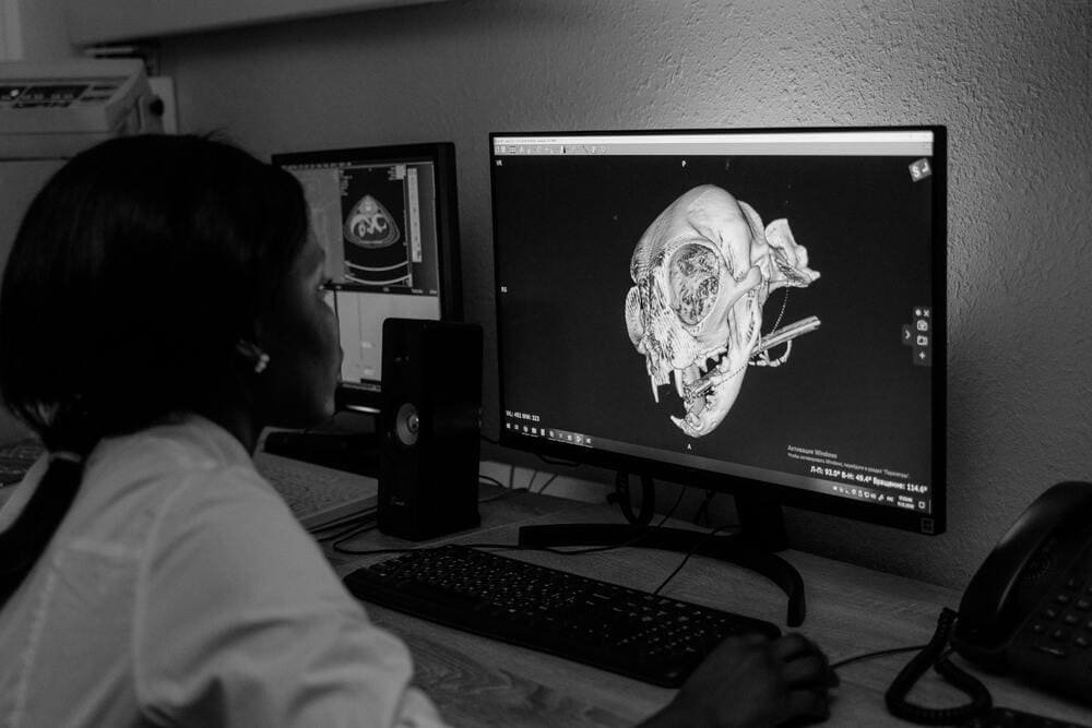 Benefits of 3D Rendering for Personal Branding
